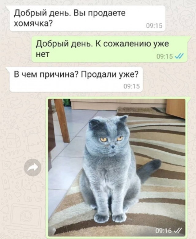 Бредзона 04.02.21