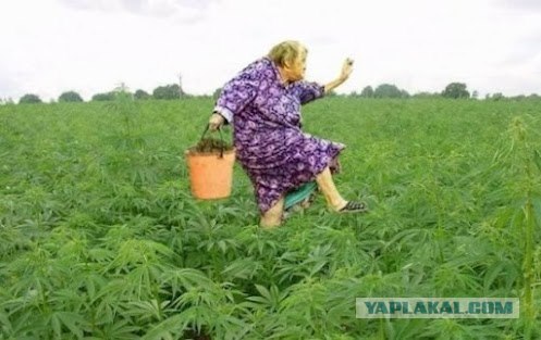 Экстренные сообщения внеземных цивилизаций