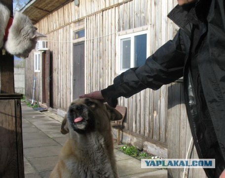 Картошку будешь?