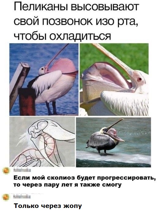 Картинки и мемы для настроения 23.09.2021