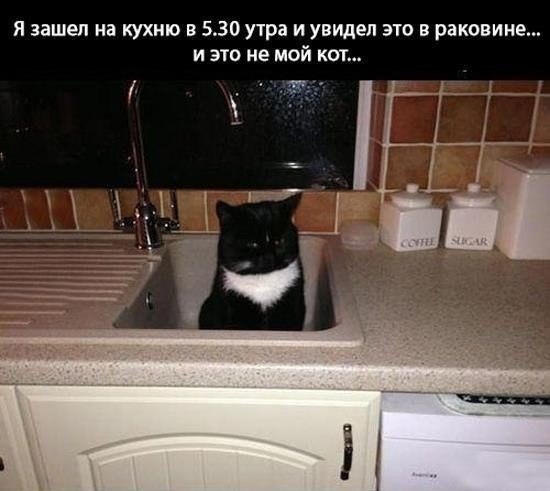 Так себе картинки 01.10.21