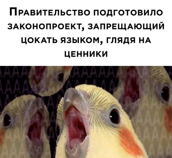 Картинки и мемы для настроения 21.12.21