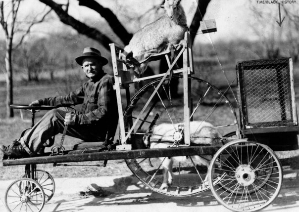 Просто старые фото - №XXXX. Чёрно-белый мир