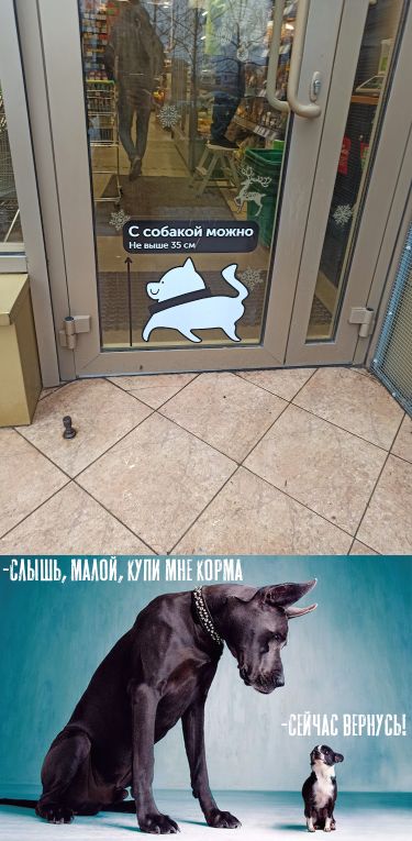 Так себе картинки 15.02.22