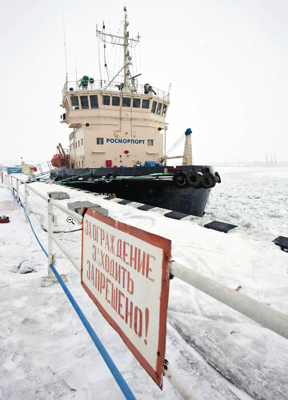 Леденящая экзотика