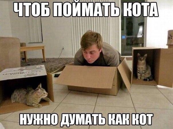 Картинки и мемы, всем хороших выходных