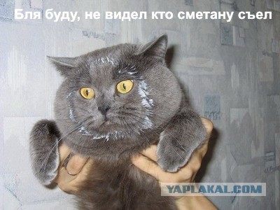 Теперь не отвертишься
