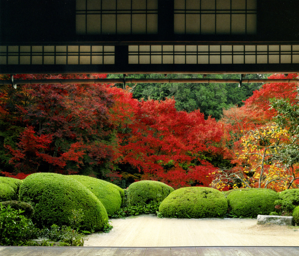 Бегониевые сады в Японии