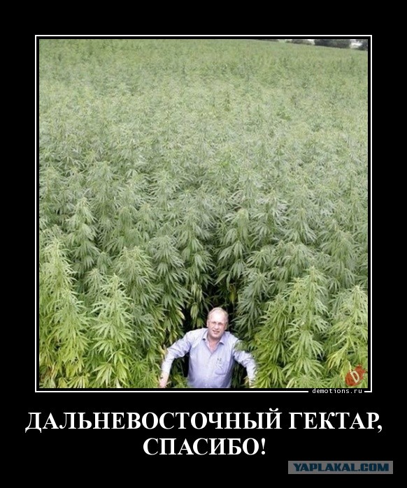 Землянка