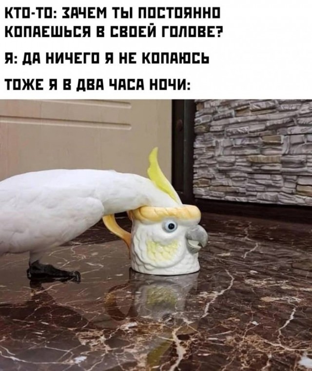 Немного картинок для настроения 07.03.2023