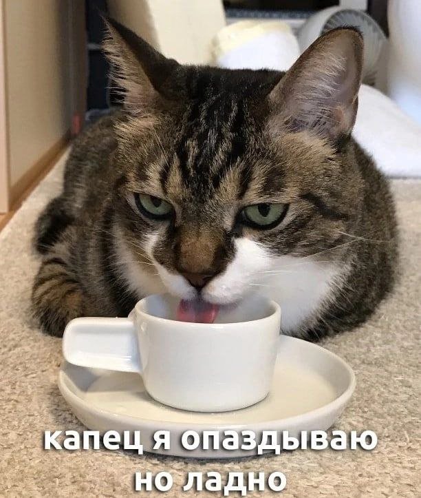 Картинки и мемы, всяко разно - 179