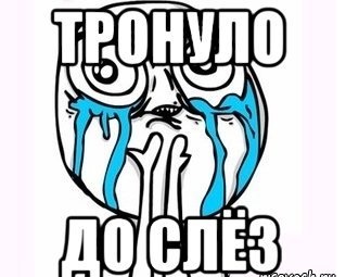 Рыбный день