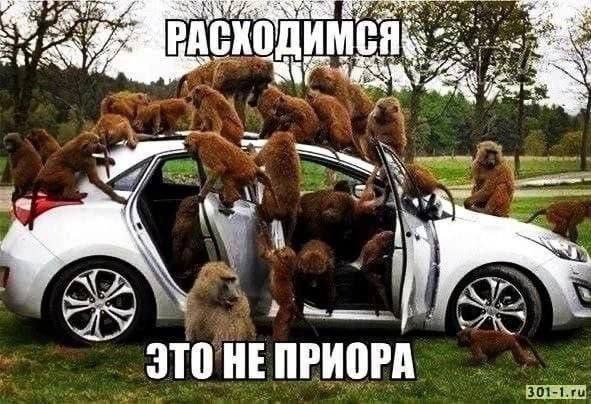 Весёлый полтишок 29.08.23