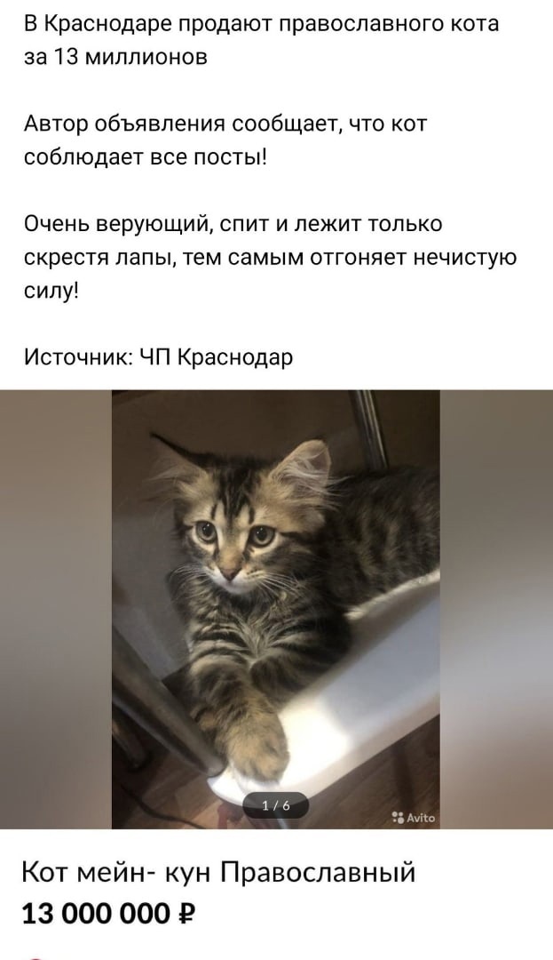 Слава богу, я безбожник #7