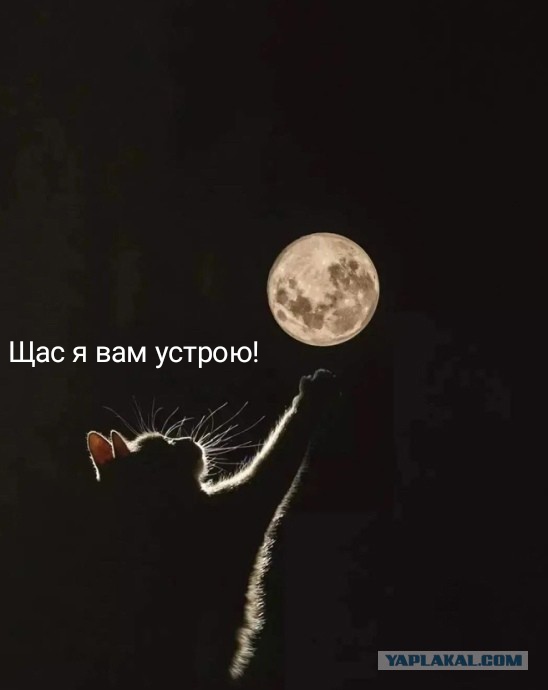«Встречался сразу с двумя за день»: истории женщин, которые примирились с изменами мужа, — почему такое вообще происходит