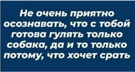 Собачники облюбовали для массовых прогулок бульвар в центре Челябинска. Теперь на него больно смотреть
