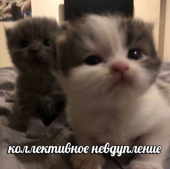 Всего понемногу. От 05.04.2024