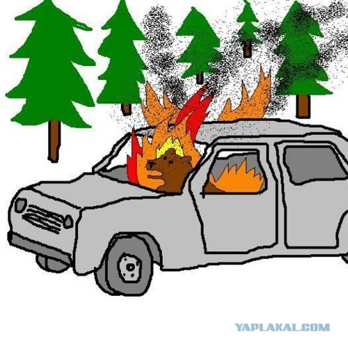 Природный утилизатор бытовых отходов.