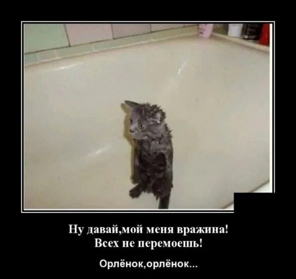 Наташ, я это тебе еще припомню