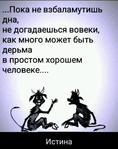 Прикольные и просто красивые картинки 03.09.2024