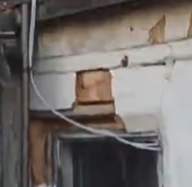 Интернет в глухую деревню? А почему бы и да