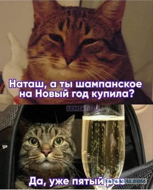 Так себе картинки 21.12.24