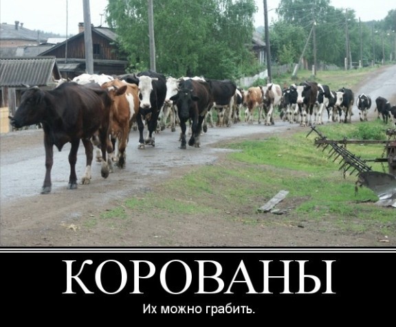 К.О.Р.О.В.А.Н.Ы | Симулятор Грабежа Корованов