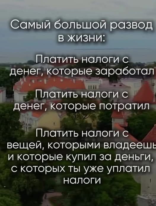 Весёлый полтишок 23.01.25