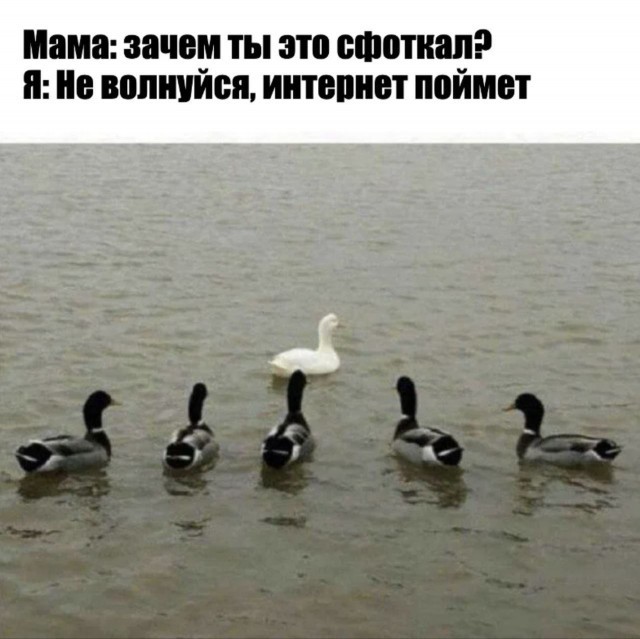 Юмор для тех, кто уже повзрослел и понял, что «гардероб» — это три свитера и джинсы
