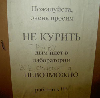 Надписи, объявления и прочая дичь