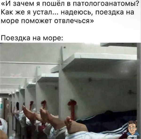 Веселое настроение в картинках (14.10.2025)