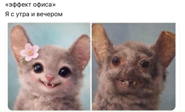 Жизнь на острове