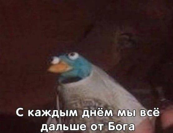 Картинки для деградации 141 (разной степени свежести)