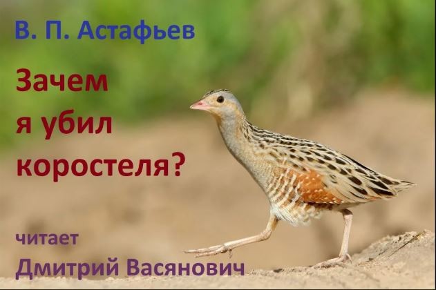 Птица , которую я терпеть не могу
