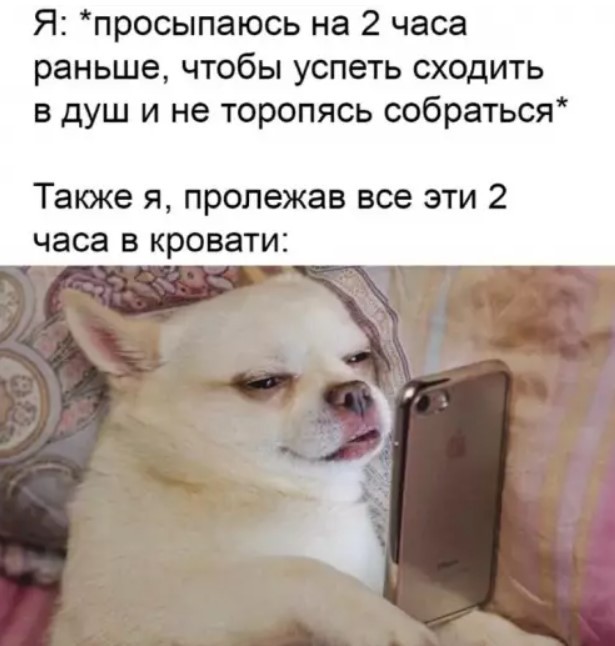 Картиночки, баянчики 27 июня