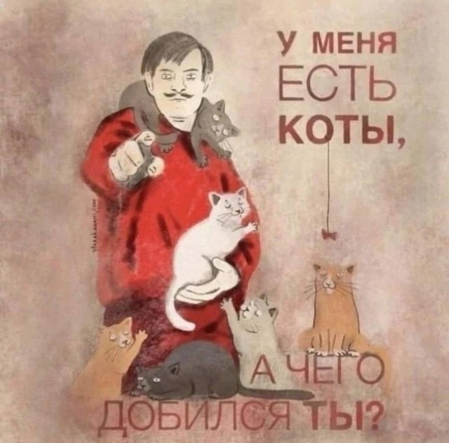 К котовторнику: подборка картинок-баянов с котиками и про котиков. Выпуск 42.