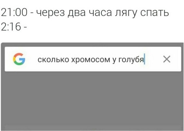 Картинки для деградации 231 (разной степени свежести)