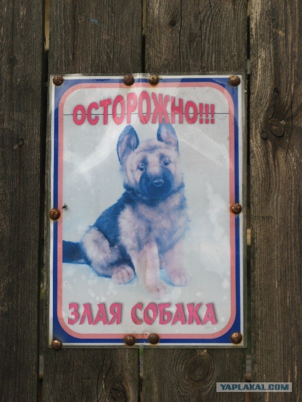 Обитель зла!