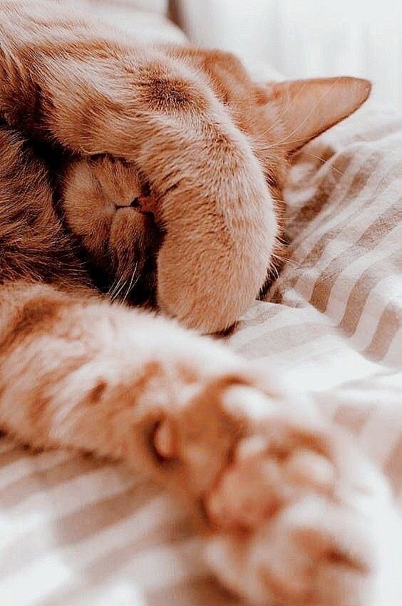 Прикольные и просто красивые картинки 01.09.2026