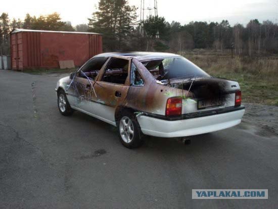 Пошли за грибами в лес, а нашли...