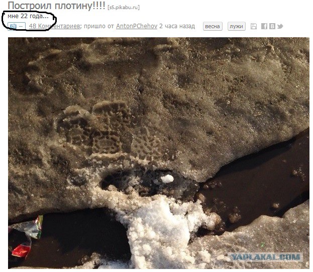 Нет, не повзрослел