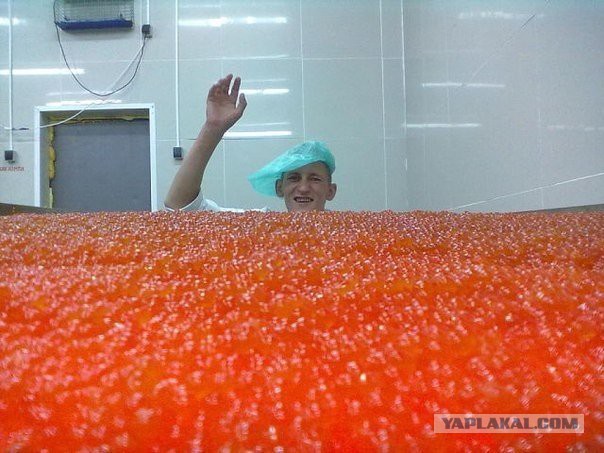 Как быстро сдать украинский паспорт?