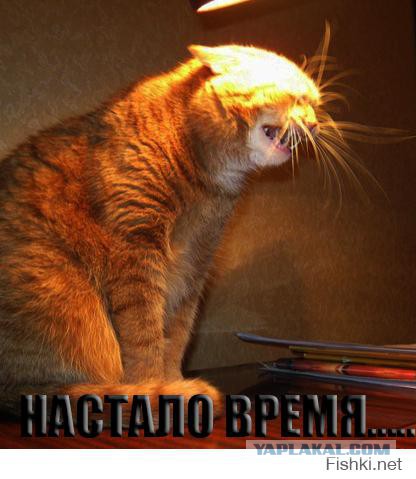 +500 к опыту или как я за напильником ходил.