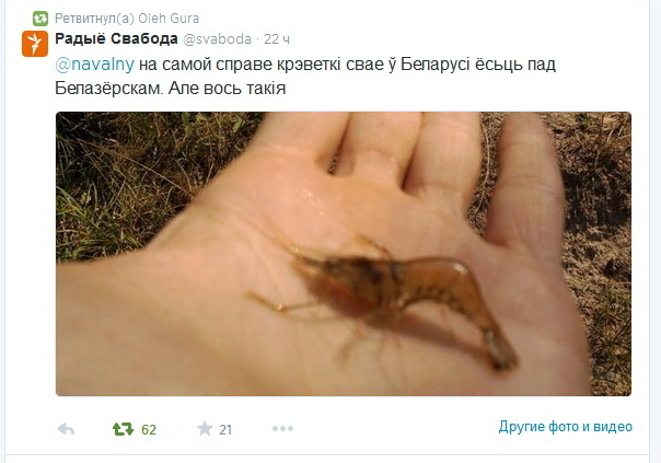 Первые креветки из Беларуси