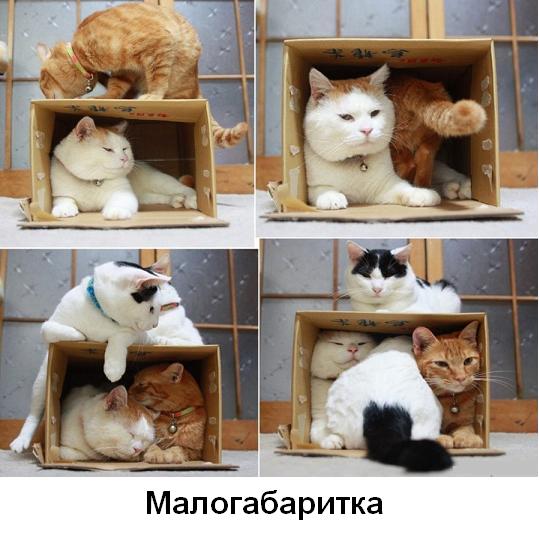 Подборка смешных картинок :)