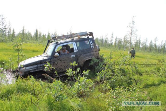 Старость не радость