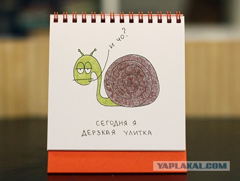Как зеленку раздают