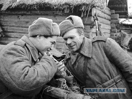 Самокрутки