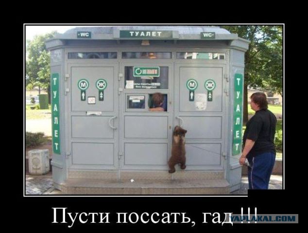Картинки