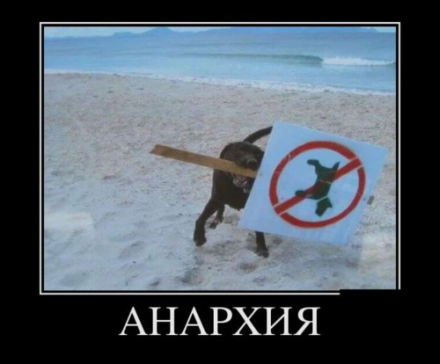 Давно демотиваторов не было